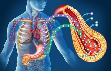 Diaform Plus INSULINAREN SENSITIBITASUNA